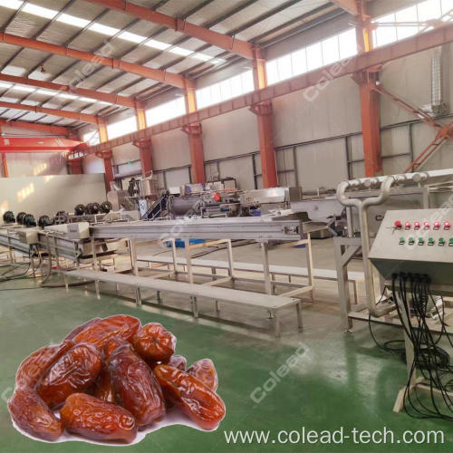 Industrial Egypt palm dates processing machine line